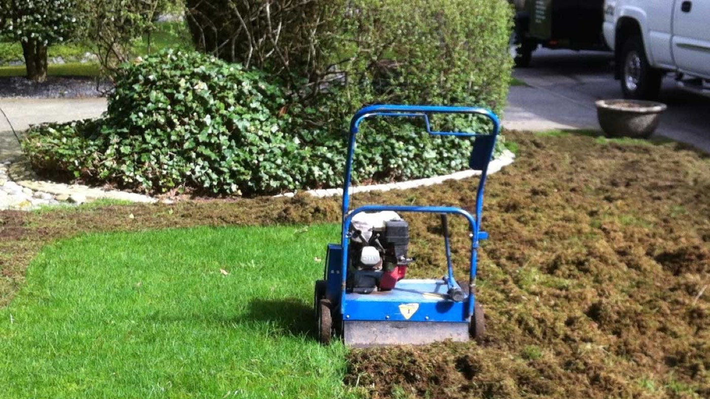 Front garden maintenance